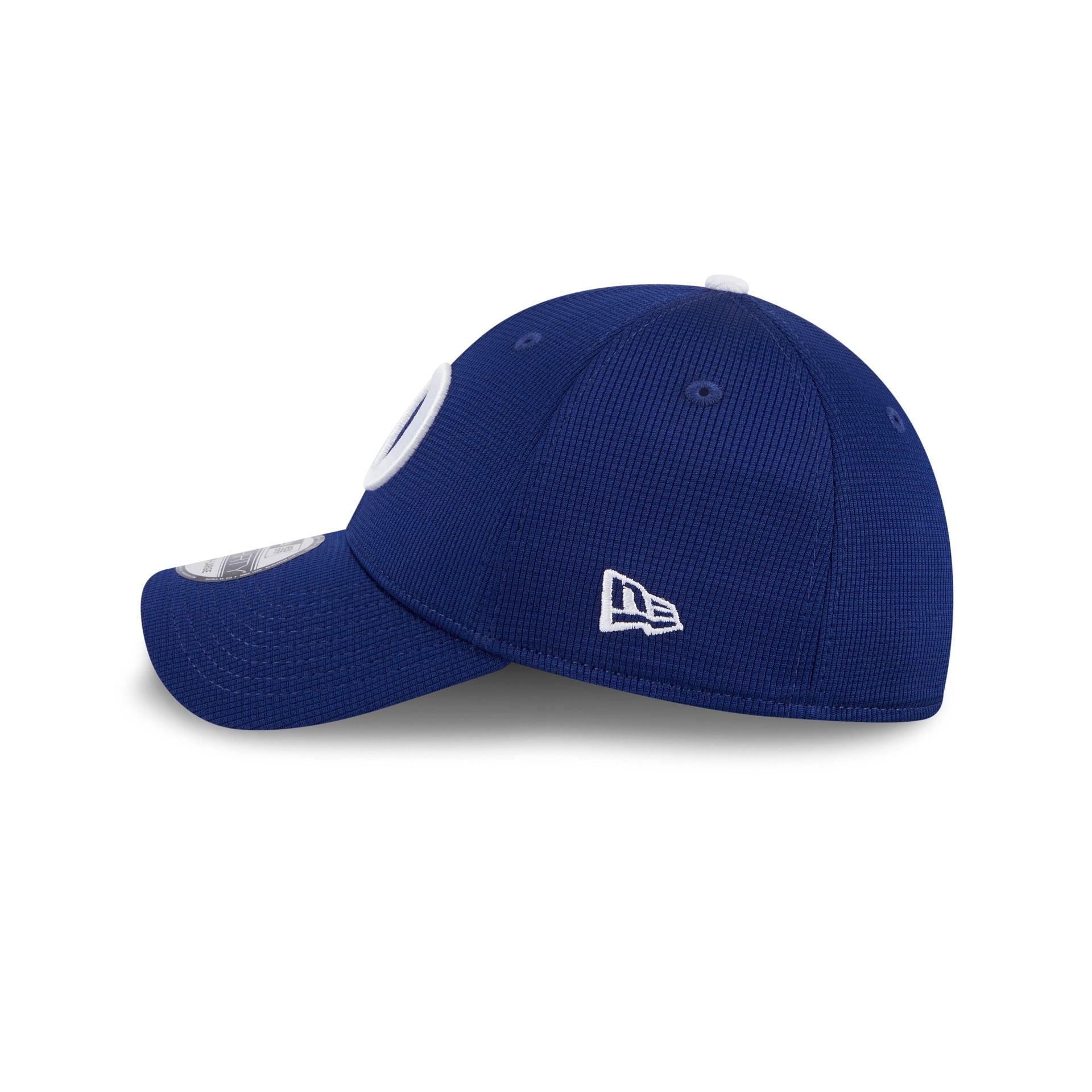 Los Angeles Dodgers 2025 Batting Practice 39THIRTY Stretch Fit