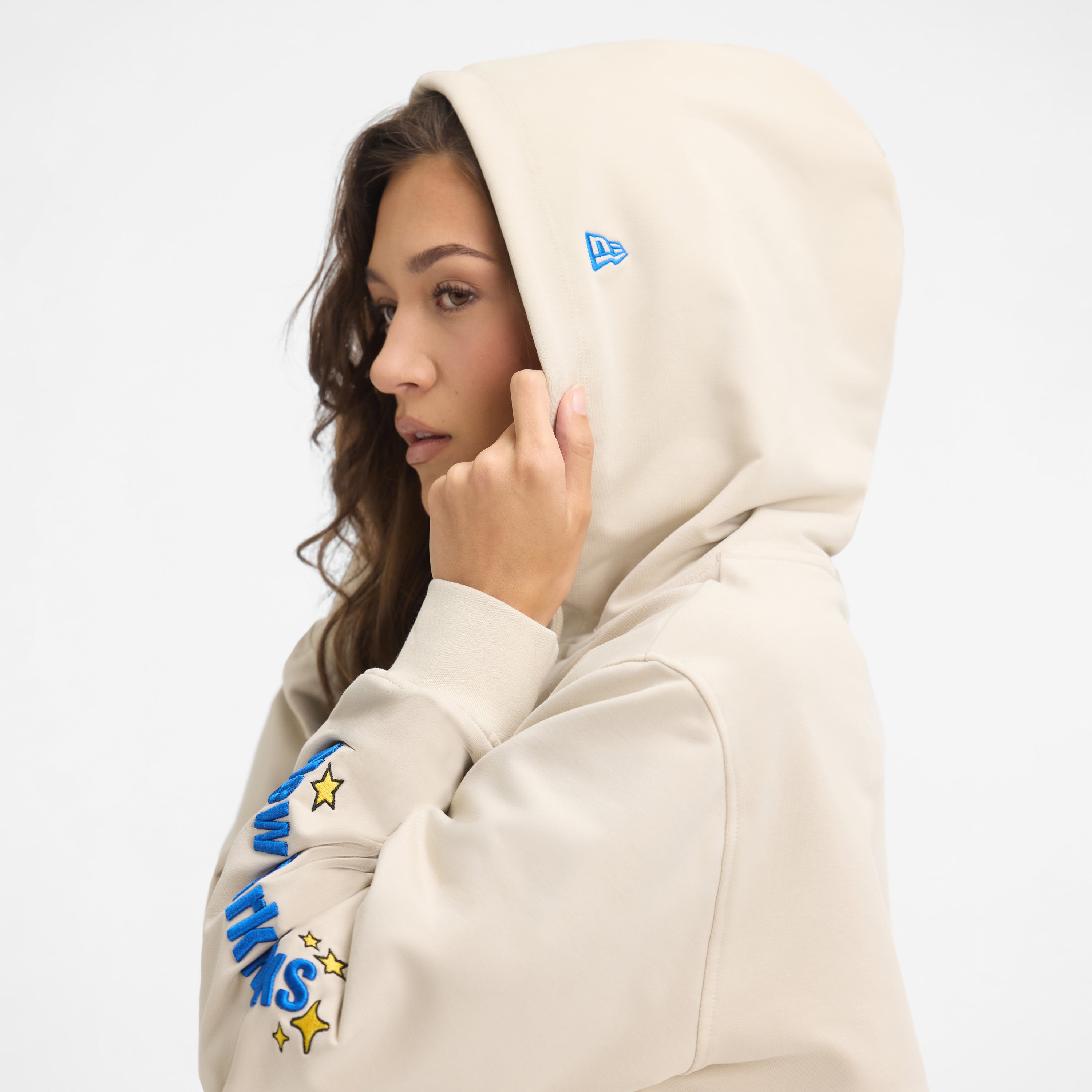 Boston Red Sox Stone Logo Select Full-Zip Hoodie