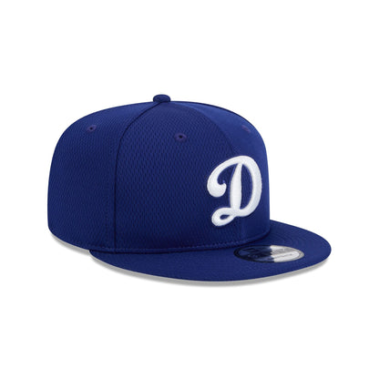 Los Angeles Dodgers 2025 Clubhouse Alt 9FIFTY Snapback Hat