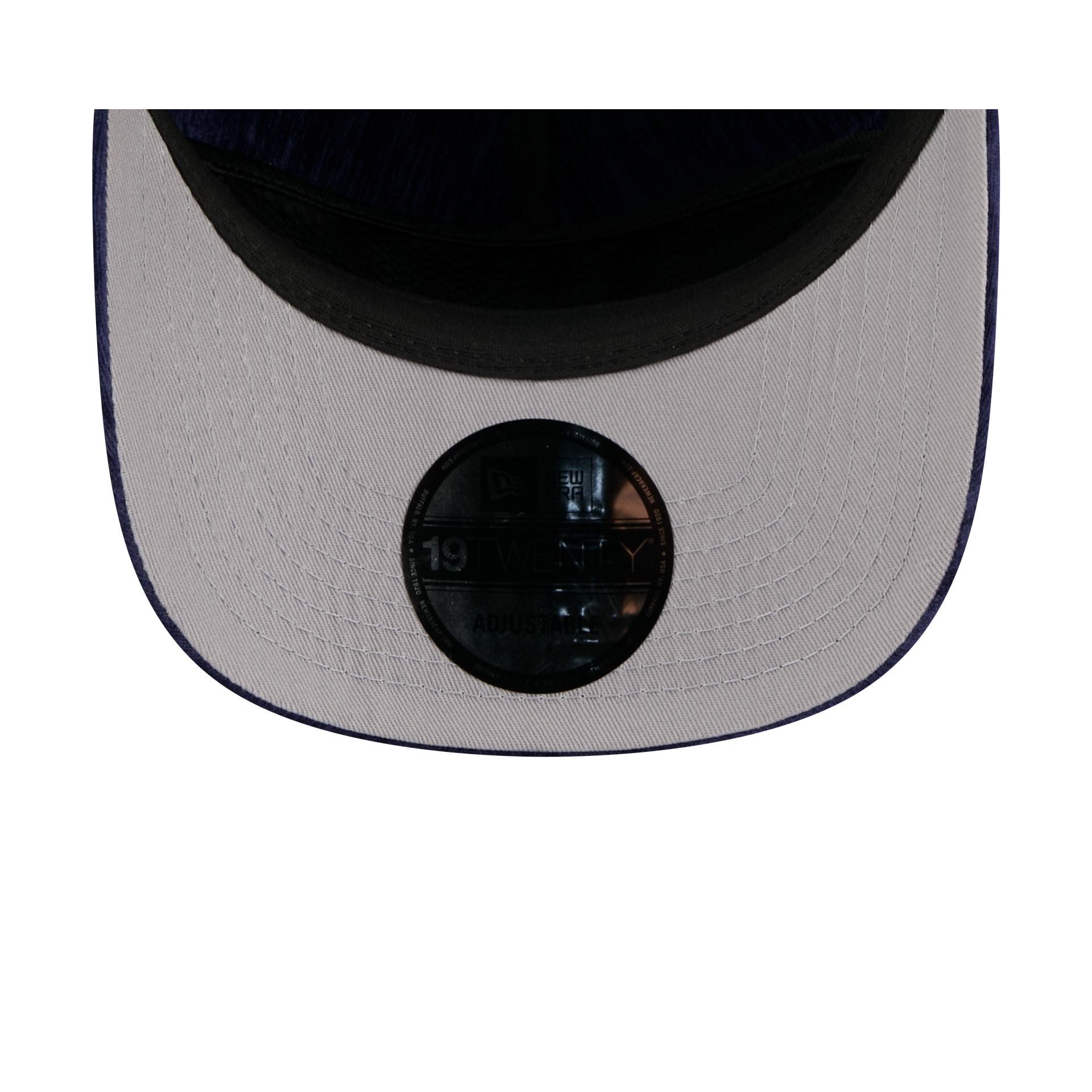 Los Angeles Dodgers Velvet Team Script 19TWENTY Adjustable Hat