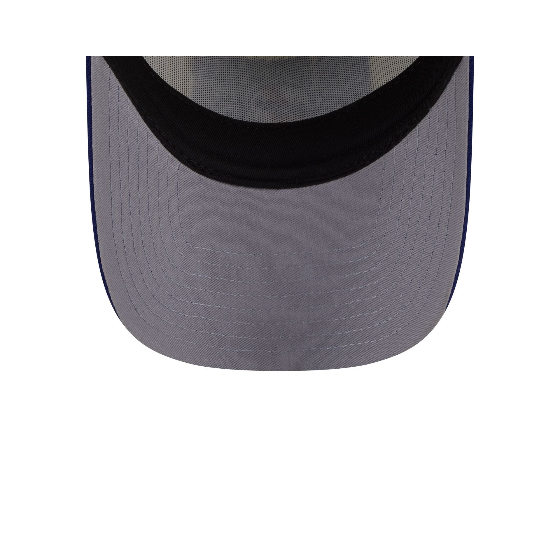 Los Angeles Dodgers Classic Tones 9FORTY A-Frame Snapback Hat