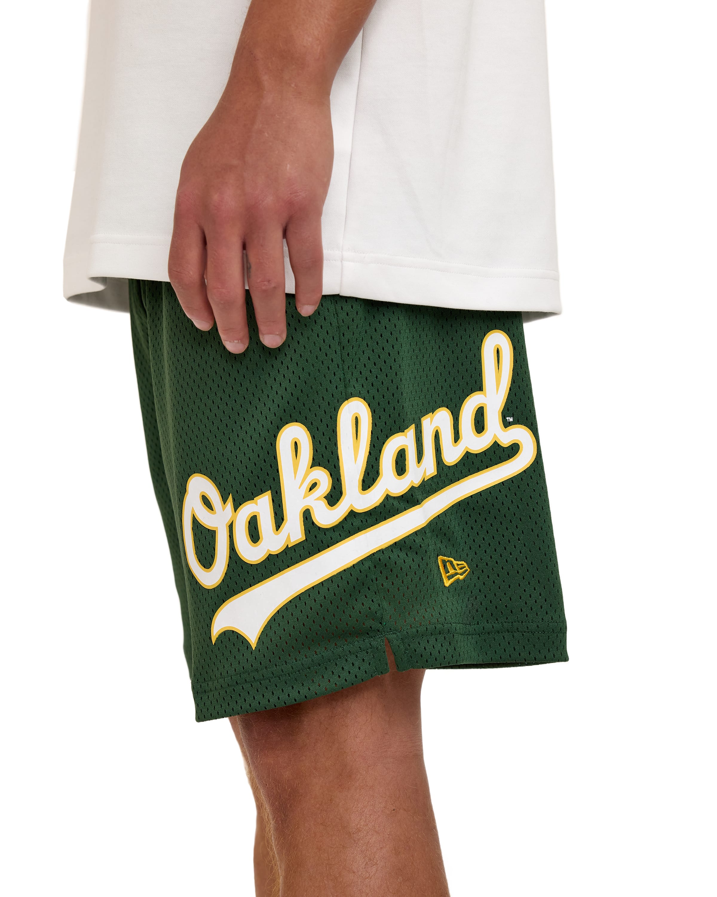 Boston Red Sox Summer Shorts